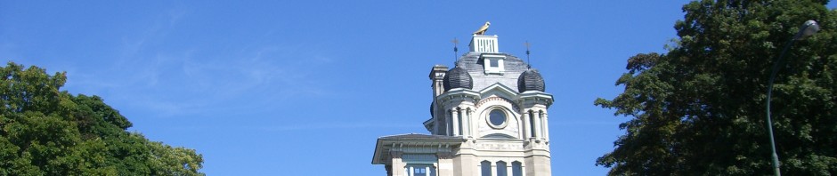 cropped-cimg8255.jpg